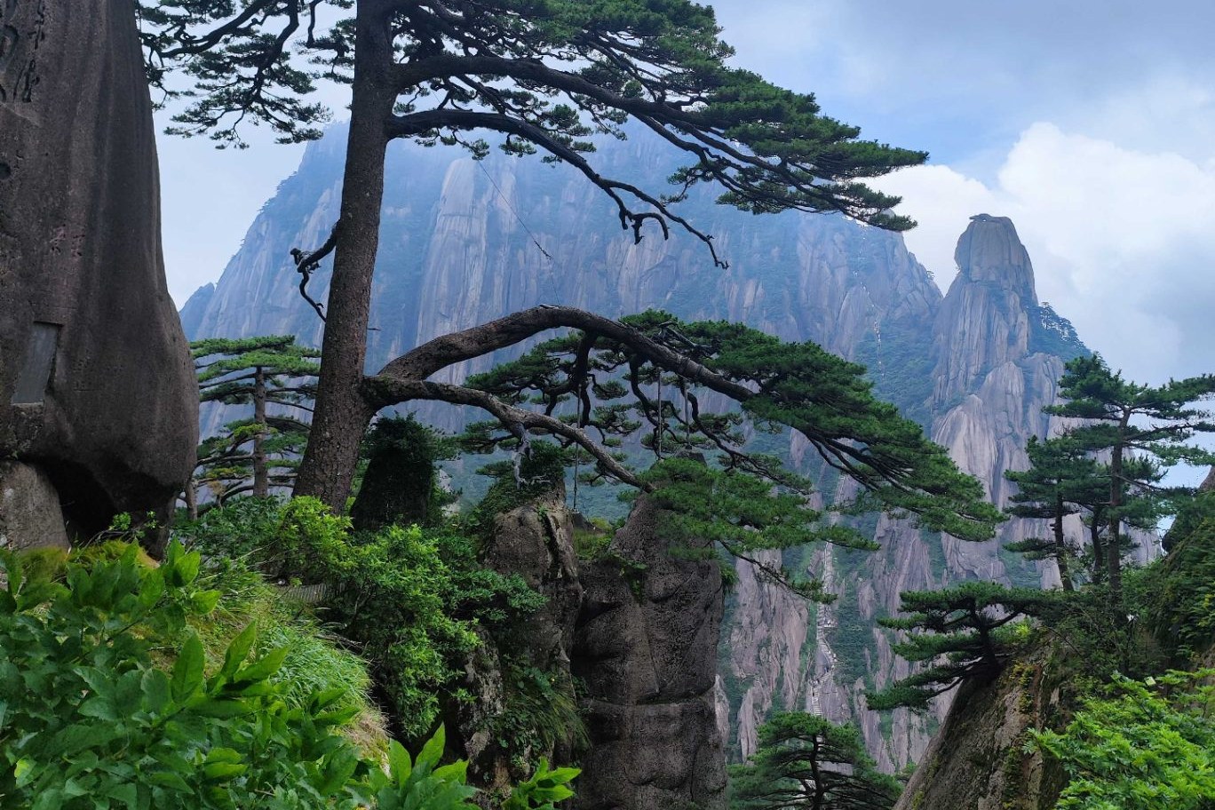 Granite peaks and ancient pines on the way up Huangshan